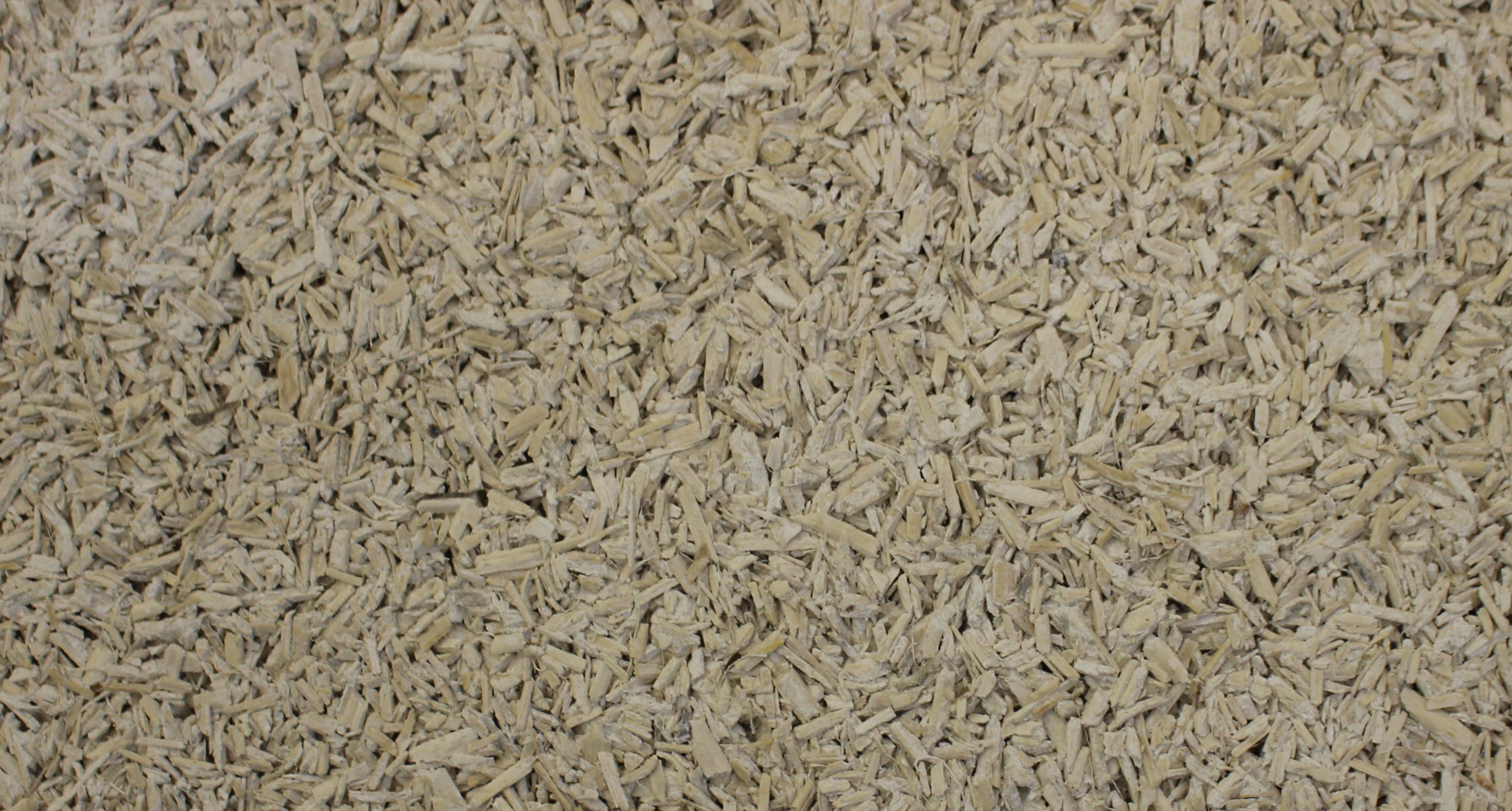 Grain de chènevotte